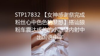 STP17832 【女神感谢祭完成粉丝心中色色的梦想】搭讪狼粉车震达成他的小愿望内射中出国语中字