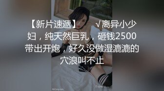 隐藏版