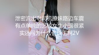 透明内裤，性感肥厚的阴唇2