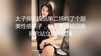 新婚AJ少妇与炮友偷情，对话+字幕完整版