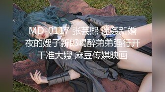 【MSD071】少爷的乖女仆