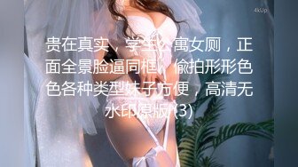 猫爪传媒 MMZ-060《装修工的报复》艳丽女神-赵一曼