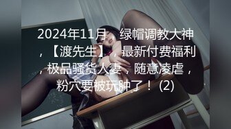 自拍调教小胸少妇2