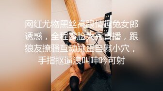 爱吃鸡巴的小少妇能嗦能裹