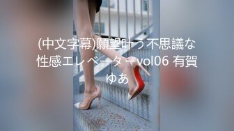 (中文字幕)願望叶う不思議な性感エレベーターvol06 有賀ゆあ