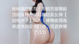 秘秘强烈推荐！高颜芭蕾舞姬顶级身材一字马舞蹈系女神【胡桃夹子】私作，裸舞紫薇高难度体操姿势打炮，简直爽爆了 (11)