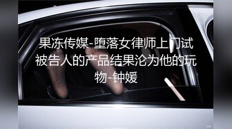 果冻传媒-堕落女律师上门试被告人的产品结果沦为他的玩物-钟媛