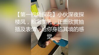 【第一视角探花】小伙深夜探楼凤，粉嫩美乳，正面欣赏抽插及表情，给你身临其境的感觉