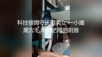 科技楼蹲守长裙美女 一小撮黑穴毛,两片肥厚的阴唇