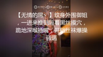 【无情的屌丶】纹身外围御姐，一进来推到隔着黑丝摸穴，跪地深喉插嘴，开档丝袜爆操骚逼