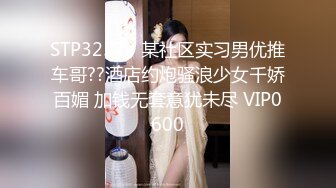 女仆少女 能否满足你的少女梦