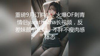 精品视频免费在线观看