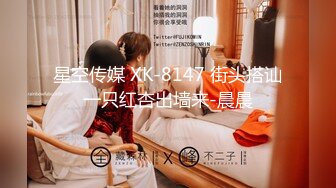 星空传媒 XK-8147 街头搭讪一只红杏出墙来-晨晨