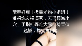 [2DF2] 情欲黑社会女老大的惩处 情欲调教帮派小弟 刺青女神艾秋出演 高清1080p[BT种子]