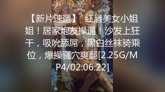 【新片速遞】  红唇美女小姐姐！居家炮友操逼！沙发上狂干，吸吮舔屌，黑白丝袜骑乘位，爆操骚穴爽翻[2.25G/MP4/02:06:22]