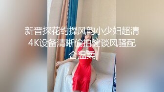 新晋探花约操风韵小少妇超清4K设备清晰偷拍健谈风骚配合温柔