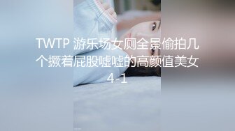 TWTP 游乐场女厕全景偷拍几个撅着屁股嘘嘘的高颜值美女4-1