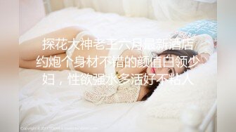 【三级】《绝色女仆小姐姐》