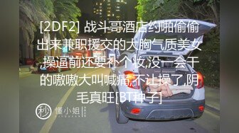 和大奶骚货小母狗啪啪