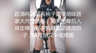 【最新极品推荐】外围女神猎杀者『91斯文禽兽』震撼新作-性爱调教孕产期骚人妻 怀孕了必须内射 高清720P原版