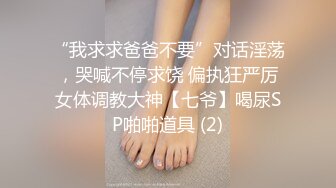 女仆情趣2