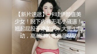 【解说】《论如何与两位女友相处，并让她们同意一起上床》