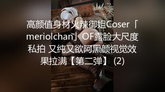 高颜值身材火辣御姐Coser「meriolchan」OF露脸大尺度私拍 又纯又欲阿黑颜视觉效果拉满【第二弹】 (2)