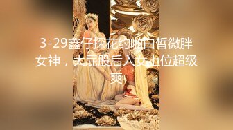 3-29鑫仔探花约啪白皙微胖女神，大屁股后入女上位超级爽