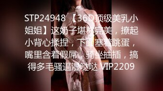 STP24948 【36D顶级美乳小姐姐】这奶子堪称完美，撩起小背心揉捏，下面塞着跳蛋，嘴里含着假屌，骑坐抽插，搞得多毛骚逼湿哒哒 VIP2209