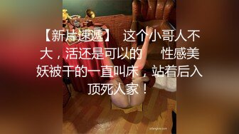 【新片速遞】  这个小哥人不大，活还是可以的❤️性感美妖被干的一直叫床，站着后入顶死人家！