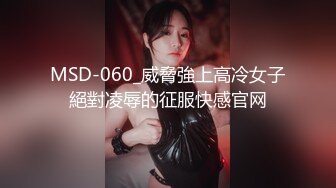 MSD-060_威脅強上高冷女子絕對凌辱的征服快感官网