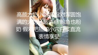 愛豆傳媒 ID5269 美豔主持人溫泉會館性愛體驗 心萱