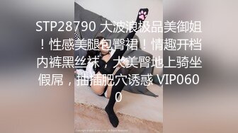 STP28790 大波浪极品美御姐！性感美腿包臀裙！情趣开档内裤黑丝袜，大美臀地上骑坐假屌，抽插肥穴诱惑 VIP0600