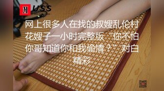 [2DF2] 在酒店花了3000块钱遇到的一个外围女肤白貌美奶子大 - soav_ev[BT种子]