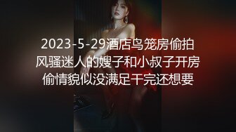 2023-5-29酒店鸟笼房偷拍风骚迷人的嫂子和小叔子开房偷情貌似没满足干完还想要