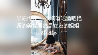 果冻传媒-一夜情酒吧酒吧艳遇的美女居然是女友的姐姐-林凤娇