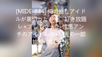 [MIDE-844] 俺の推しアイドルが裏切ったので、好き放題レ×プしてやった-性悪アンチのアイドル強●動画の一部始終- 南乃そら