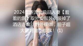 MD-0039_女优面试员叶一涵