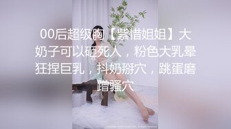 00后超级胸【紫惜姐姐】大奶子可以砸死人，粉色大乳晕狂捏巨乳，抖奶掰穴，跳蛋磨蹭骚穴