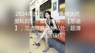 外围女神猎杀者『91斯文禽兽』