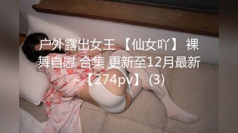 户外露出女王 【仙女吖】 裸舞自慰 合集 更新至12月最新~【274pv】 (3)