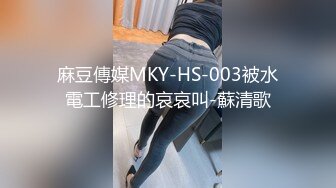 麻豆傳媒MKY-HS-003被水電工修理的哀哀叫-蘇清歌