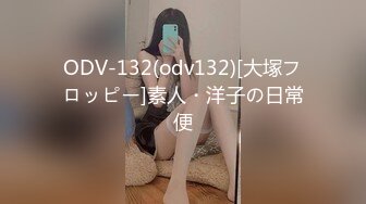 地铁跟随抄底准备出差的高颜值气质美女