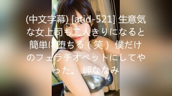 (中文字幕) [atid-521] 生意気な女上司も二人きりになると簡単に堕ちる（笑） 僕だけのフェラチオペットにしてやった。 岬ななみ