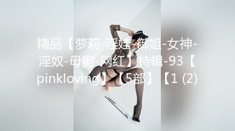 精品【萝莉-淫娃-御姐-女神-淫奴-母狗-网红】特辑-93【pinkloving】【5部】【1 (2)