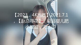 【2023，4K画质】2021.7.1，【赵总寻花】，极品婴儿肥小姐姐，无水印