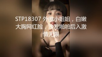 STP18307 外围小姐姐，白嫩大胸网红脸，沙发啪啪后入激情无限