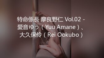 特命係長 摩良野仁 Vol.02 - 愛音ゆう（Yuu Amane）、大久保伶（Rei Ookubo）