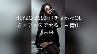 HEYZO 2593 ポチャかわOLをオフィスでヤる！ – 青山未来