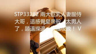 STP33282 兩大巨乳人妻服侍大哥，這感覺皇帝般，太男人了，舔逼操逼，性福夜晚！ VIP0600